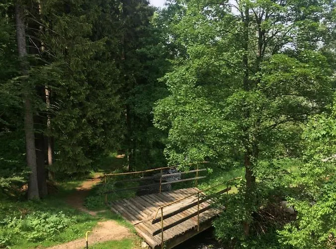 & Restaurant Pod Certakem 3* Harrachov